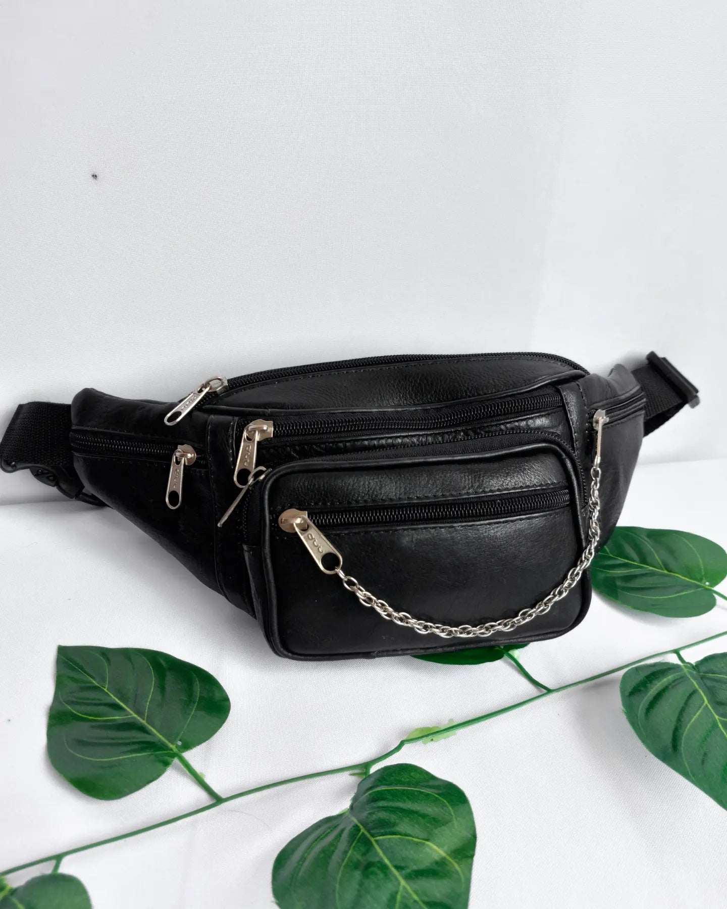 Canguro mediano negro