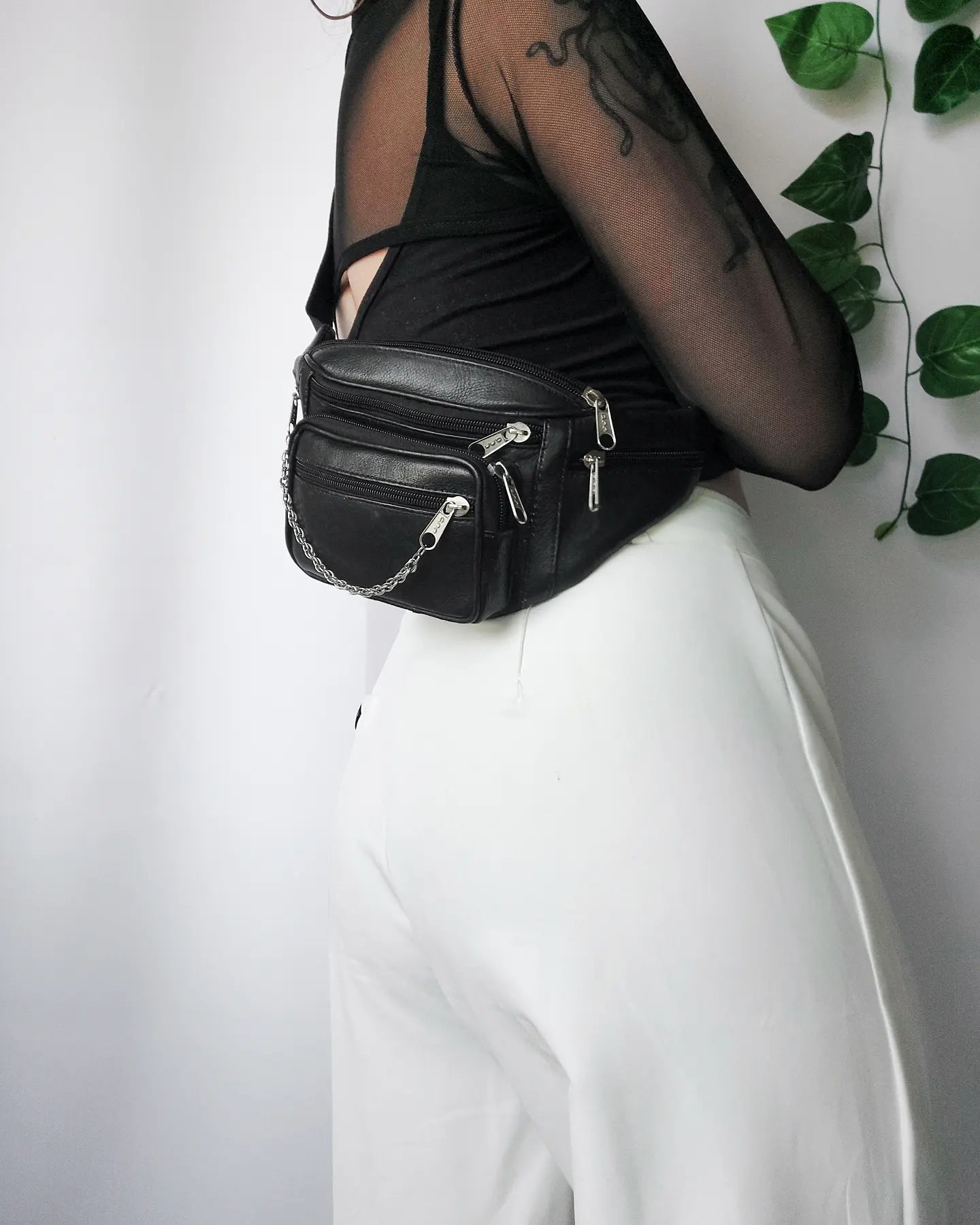 Canguro mediano negro